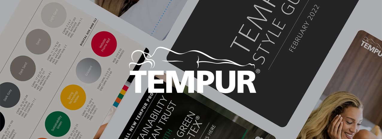 TEMPUR Audit case study hero image
